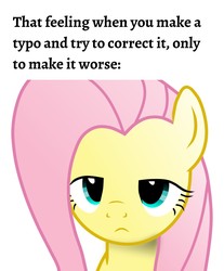 Size: 1080x1307 | Tagged: safe, artist:facelesssoles, edit, editor:apex soundwave, fluttershy, pony, flutter brutter, g4, caption, female, fluttershy is not amused, image macro, mare, solo, text, tfw, that feel, unamused