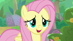 Size: 1280x720 | Tagged: safe, screencap, fluttershy, pegasus, pony, g4, sounds of silence, female, mare, solo