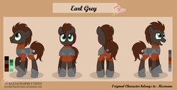 Size: 5400x2747 | Tagged: safe, artist:raspberrystudios, oc, oc only, oc:earl grey, earth pony, pony, armor, commission, male, reference sheet, stallion