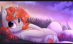Size: 5000x3000 | Tagged: safe, artist:pesty_skillengton, oc, oc only, pony, unicorn, cute, female, grass, mare, night, on back, sky, smiling, solo, stars, ych result