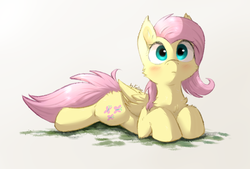 Size: 2338x1582 | Tagged: safe, artist:kaliner123, fluttershy, pegasus, pony, g4, blushing, cheek fluff, chest fluff, cute, female, folded wings, mare, prone, shyabetes, simple background, solo, wings