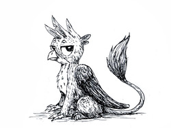 Size: 864x648 | Tagged: safe, artist:el-yeguero, gallus, griffon, g4, claws, looking at you, male, monochrome, paws, simple background, sitting, solo, tail, traditional art, white background, wings