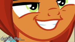 Size: 1920x1080 | Tagged: safe, edit, edited screencap, screencap, stellar flare, totally legit recap, g4, the parent map, close-up, cropped, female, image macro, mare, meme, smiling, smirk, stellarsmug, text