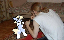 Size: 540x344 | Tagged: safe, artist:nootaz, oc, oc:nootaz, human, pony, unicorn, bipedal, cute, female, fighting stance, frown, glare, irl, irl human, mare, photo, ponies in real life, ponified animal photo, size difference, smol