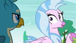 Size: 720x405 | Tagged: safe, screencap, gallus, silverstream, classical hippogriff, griffon, hippogriff, g4, school daze, female, looking at each other, male, nervous, raised arm, raised eyebrow, shipping fuel, smiling, smirk, smug, wide eyes