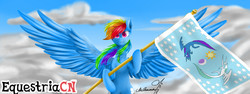 Size: 1280x480 | Tagged: safe, artist:mcqueen, derpibooru exclusive, rainbow dash, pegasus, pony, g4, cloud, cover art, equestriacn, female, flag, flag of equestria, logo, looking at you, smiling, solo, wings