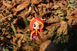 Size: 6000x4000 | Tagged: safe, artist:artofmagicpoland, sunset shimmer, equestria girls, g4, autumn, doll, equestria girls minis, eqventures of the minis, female, leaves, solo, toy