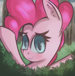 Size: 757x775 | Tagged: safe, anonymous artist, pinkie pie, earth pony, pony, g4, blushing, bush, bust, cloud, female, looking at you, mare, smiling, solo, tree