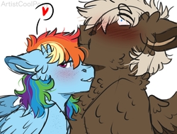 Size: 1461x1105 | Tagged: safe, artist:artistcoolpony, dumbbell, rainbow dash, pegasus, pony, g4, :t, blushing, cheek fluff, chest fluff, dumbdash, ear fluff, embarrassed, female, floppy ears, fluffy, freckles, grin, heart, lidded eyes, male, mare, nuzzling, shipping, shoulder fluff, simple background, smiling, spread wings, stallion, straight, white background, wide eyes, wing fluff, wings