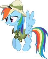 Size: 810x987 | Tagged: safe, artist:anthony60617, rainbow dash, pony, g4, clothes, cutie mark, disguise, female, hat, pith helmet, rainbow dash always dresses in style, shirt, simple background, solo, tomboy, transparent background, vector