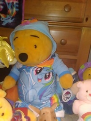 Size: 1944x2592 | Tagged: safe, rainbow dash, songbird serenade, bear, g4, my little pony: the movie, care bears, cheer bear, clothes, collection, cosplay, costume, crossover, eeyore, irl, male, pajamas, photo, plushie, pooh-bow dash, rainbow the pooh, roo, winnie the pooh