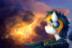 Size: 1500x1000 | Tagged: safe, artist:pingwinowa, oc, oc only, pegasus, pony, cloud, cloudy, solo, sunset