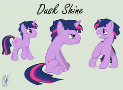Size: 1024x746 | Tagged: safe, artist:iiamethystskyii, twilight sparkle, pony, unicorn, g4, dusk shine, male, rule 63, sitting, solo, stallion
