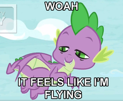 Size: 1053x867 | Tagged: safe, edit, edited screencap, screencap, spike, dragon, father knows beast, g4, cropped, drugs, flying, high, male, marijuana, solo, stoned, stoner spike, winged spike, wings