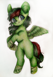 Size: 2779x3998 | Tagged: safe, artist:sunshine, oc, oc only, oc:windy barebow evergreen, pegasus, pony, ears, female, high res, hooves, leg wraps, looking at you, mare, smiling, solo, standing, traditional art, two toned mane, wings