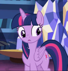 Size: 578x600 | Tagged: safe, screencap, twilight sparkle, alicorn, pony, father knows beast, g4, :o, animated, blinking, cropped, cute, cutie mark, female, gif, loop, open mouth, solo, twiabetes, twilight sparkle (alicorn)