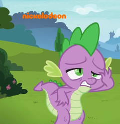 Size: 687x713 | Tagged: safe, screencap, spike, dragon, father knows beast, g4, cropped, male, winged spike, wings