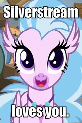 Size: 277x412 | Tagged: safe, edit, edited screencap, screencap, silverstream, classical hippogriff, hippogriff, a rockhoof and a hard place, g4, season 8, bronybait, cropped, cute, diastreamies, female, heartwarming, image macro, looking at you, meme, positive ponies, solo, sweet dreams fuel, text