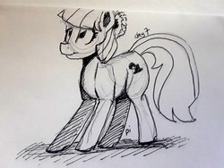 Size: 1030x773 | Tagged: safe, artist:post-it, coco pommel, earth pony, pony, g4, female, ink drawing, inktober, looking up, mare, missing accessory, monochrome, simple background, sketch, smiling, solo, traditional art, white background