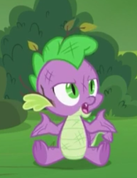 Size: 298x386 | Tagged: safe, screencap, spike, dragon, father knows beast, g4, claws, cropped, dirty, male, winged spike, wings