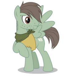 Size: 5000x5305 | Tagged: safe, artist:dragonchaser123, neighan drake, pegasus, pony, g4, stranger than fan fiction, absurd resolution, background pony, bandana, clothes, male, raised hoof, shirt, simple background, solo, stallion, stubble, transparent background, vector