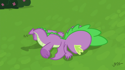 Size: 1280x720 | Tagged: safe, screencap, spike, dragon, father knows beast, g4, claws, faceplant, male, solo, winged spike, wings