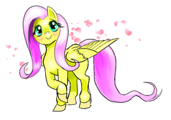 Size: 659x465 | Tagged: safe, artist:drakesaurian, fluttershy, pegasus, pony, g4, blushing, female, heart, looking at you, mare, raised hoof, simple background, smiling, solo, spread wings, standing, white background, wings