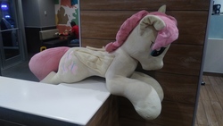 Size: 4160x2340 | Tagged: safe, artist:ponylover88, fluttershy, pegasus, pony, g4, butterscotch, folded wings, irl, life size, photo, plushie, rule 63, wings