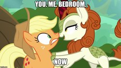 Size: 888x500 | Tagged: safe, edit, edited screencap, editor:icicle-niceicle-1517, screencap, applejack, autumn blaze, earth pony, kirin, pony, g4, sounds of silence, applejack's hat, autumnjack, bedroom eyes, boop, caption, cowboy hat, discovery family logo, female, femdom, freckles, hat, image macro, imgflip, implied sex, lesbian, mare, meme, noseboop, not sure if want, open mouth, out of context, personal space invasion, shipping, stranger danger, text, you. me. x. now.