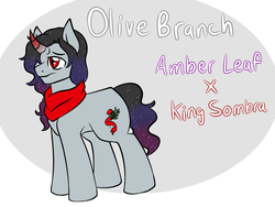 Size: 1600x1200 | Tagged: safe, artist:jolliapplegirl, oc, oc only, oc:olive branch, pony, unicorn, bio, clothes, curved horn, horn, male, next generation, parent:amber leaf, parent:king sombra, scarf, solo
