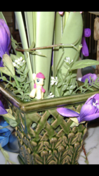 Size: 640x1136 | Tagged: safe, roseluck, pony, g4, blind bag, irl, photo, ponies in real life, solo, toy