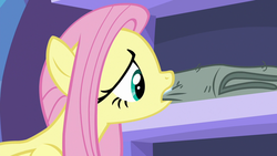 Size: 1280x720 | Tagged: safe, screencap, fluttershy, pegasus, pony, father knows beast, g4, female, mare, mouth hold, solo