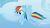 Size: 1920x1080 | Tagged: safe, screencap, rainbow dash, pony, father knows beast, g4, female, mare, solo