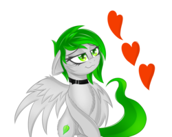 Size: 1500x1200 | Tagged: safe, oc, oc only, pegasus, pony, cheek fluff, chest fluff, female, heart, mare, simple background, solo, transparent background