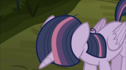 Size: 1248x698 | Tagged: safe, screencap, mean twilight sparkle, alicorn, pony, g4, the mean 6, clone, cropped, everfree forest, female, head down, mare