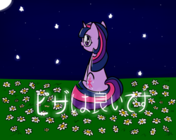 Size: 1280x1024 | Tagged: artist needed, safe, twilight sparkle, pony, unicorn, g4, female, flower, japanese, looking at you, moon, night, solo, starry eyes, stars, wingding eyes