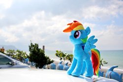 Size: 1024x682 | Tagged: safe, artist:nekokevin, rainbow dash, pegasus, pony, g4, beach, car, cloud, female, irl, mare, photo, plushie, smiling, solo, spread wings, wings