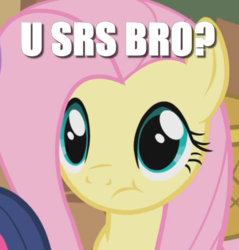 Size: 455x475 | Tagged: safe, edit, edited screencap, screencap, fluttershy, a bird in the hoof, g4, :t, cropped, image macro, meme, question, reaction image, solo focus, srsly, text