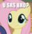 Size: 455x475 | Tagged: safe, edit, edited screencap, screencap, fluttershy, a bird in the hoof, g4, my little pony: friendship is magic, :t, cropped, image macro, meme, question, reaction image, solo focus, srsly, text