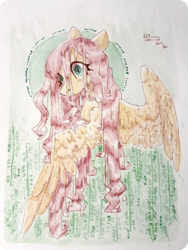 Size: 1024x1365 | Tagged: safe, artist:laps-sp, fluttershy, pegasus, pony, g4, bust, female, mare, portrait, solo, spread wings, stray strand, traditional art, wings
