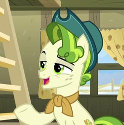 Size: 538x540 | Tagged: safe, screencap, pistachio, earth pony, pony, g4, my little pony best gift ever, cropped, hat, male, solo, stallion, teenager