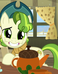 Size: 535x680 | Tagged: safe, screencap, pistachio, earth pony, pony, g4, my little pony best gift ever, cropped, cute, looking at you, male, pistachiaww, smiling, solo, stallion, teenager