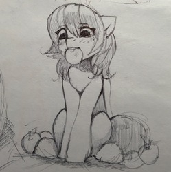 Size: 958x960 | Tagged: safe, artist:share dast, oc, oc only, oc:share dast, earth pony, pony, apple, female, food, mare, monochrome, mouth hold, sitting, sketch, solo, traditional art