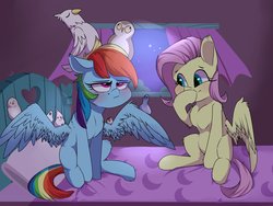 Size: 2800x2100 | Tagged: safe, artist:passigcamel, fluttershy, rainbow dash, bird, cockatiel, owl, parrot, pegasus, pigeon, pony, g4, bed, blushing, duo, female, finch, giggling, high res, hoof over mouth, indoors, java sparrow, mare, on bed, rainbow dash is best facemaker, rainbow dash is not amused, sitting, sitting on head, smiling, spread wings, unamused, varying degrees of amusement, wings, zebra finch
