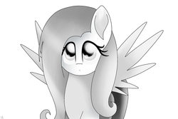 Size: 1024x683 | Tagged: safe, artist:enviaart, fluttershy, pony, g4, female, monochrome, simple background, solo, white background