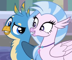 Size: 642x539 | Tagged: safe, screencap, gallus, silverstream, classical hippogriff, griffon, hippogriff, a matter of principals, g4, cropped, cute, diastreamies, duo, female, friends, male, raised eyebrow, smiling