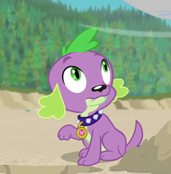 Size: 646x660 | Tagged: safe, screencap, spike, spike the regular dog, dog, equestria girls, equestria girls series, forgotten friendship, g4, cropped, male, paws, solo, tail