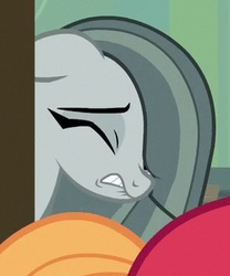 Size: 268x322 | Tagged: safe, screencap, marble pie, earth pony, pony, g4, my little pony best gift ever, cropped, cuckquean, heartbroken marble, side chick, solo focus