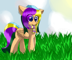 Size: 3000x2500 | Tagged: safe, artist:ppptly, oc, oc:program mouse, pony, anime eyes, claws, clothes, cute, ear fluff, female, grass, high res, scarf