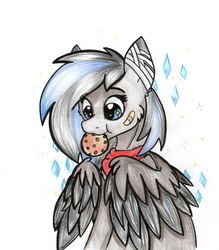 Size: 1872x2135 | Tagged: safe, artist:zira, oc, oc only, pegasus, pony, black skin, blue eye, clothes, cookie, cute, female, food, pony oc, two toned hair